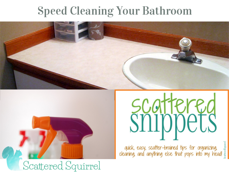 Speed Cleaning Your Bathroom - Scattered Squirrel